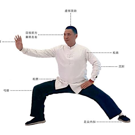 打太极送什么礼物最新素材