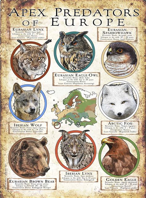 Predators Of Europe