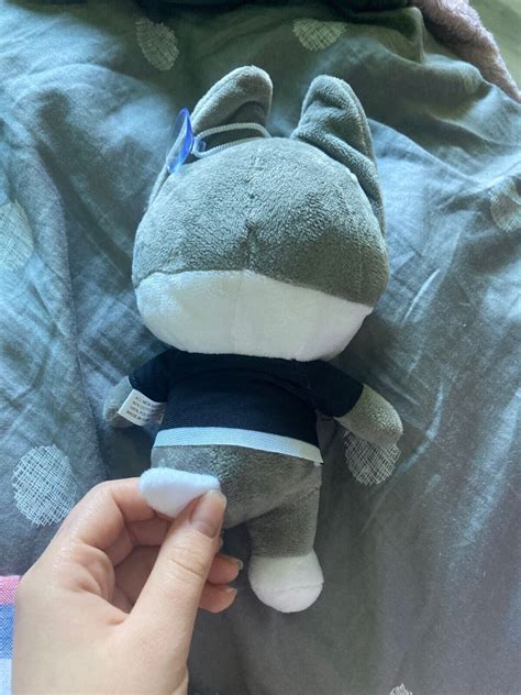 Plush Wolf Chan Kawaii Kid Doll SKZOO Kpop JIniret | Ubuy India