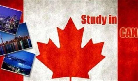 加拿大本科留学生无法毕业怎么办_腾讯新闻