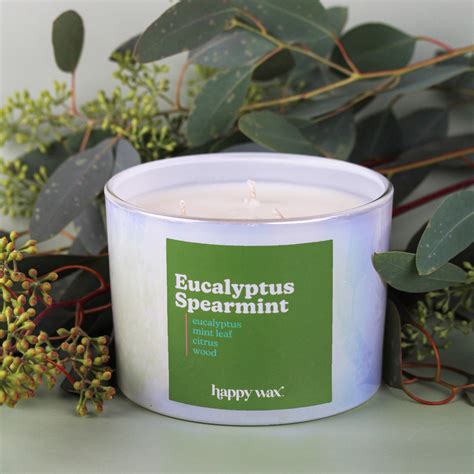 Eucalyptus Spearmint Three Wick Candle - Happy Wax®