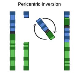 Image result for Abstract Methods of Collection Framework