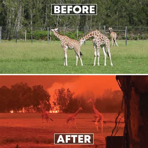 Australia Bushfire: Before And After Images Of The Disaster