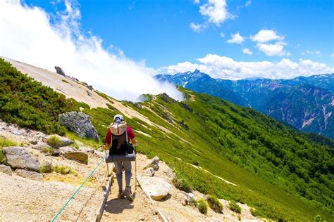 Image result for Differentiate Between Unit Testing and Integration Testing