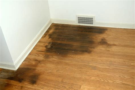 How to Get Rid of Black Stains on Hardwood Floors: Expert Tips ...
