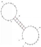 Perspectives in Aptasensor-Based Portable Detection for Biotoxins
