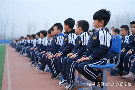 【保定东方双语】让青春在笔尖绽放丨双语少年闪耀冰心“文学之星”风采大赛 - 知乎