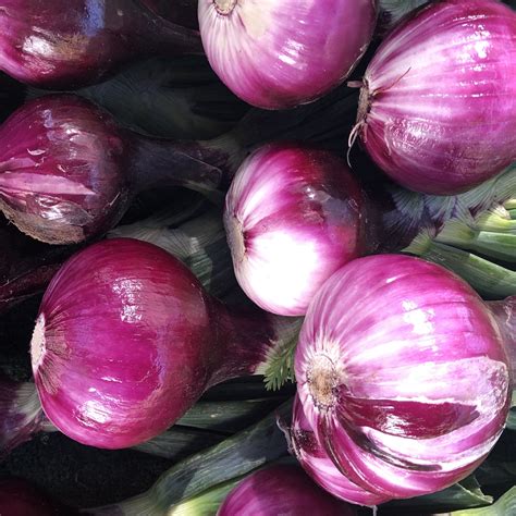 Walla Walla Onions — Consciously Kosher
