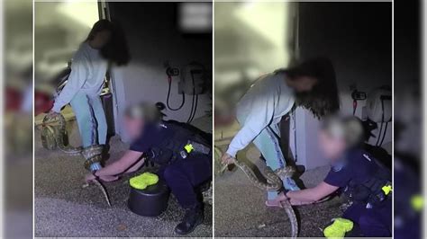 Image result for Woman Wrapped Up by Python