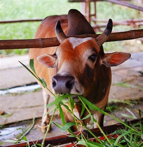 Corporate Social Responsibilities (CSR) – UK Realty