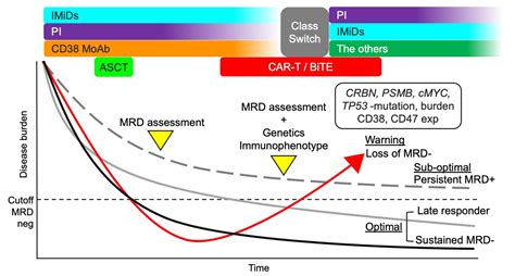Treatment Strategy for Multiple Myeloma to Improve Immunological ...