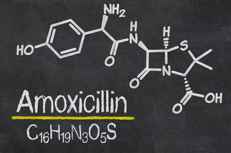 Alcohol and Amoxicillin: Find More Information - Alcohol Help