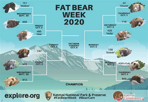 Fat Bear Week is HERE! Submit Your Vote to Crown the Fattest Bear in ...