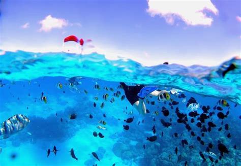 Bora Bora Submarine (Vaitape) - All You Need to Know BEFORE You Go