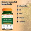 Thyroid Capsule – Thyro Pro 120 Veg Capsules | Thyroid Support – Pure ...