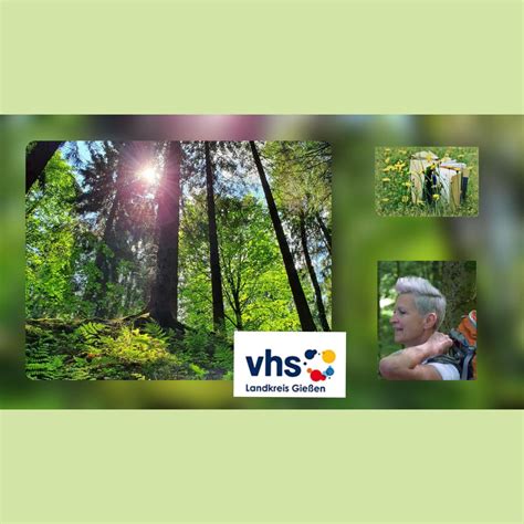 Waldbaden-Shinrin Yoku; 5 Tage (R)Auszeit (anerkannter Bildungsurlaub ...
