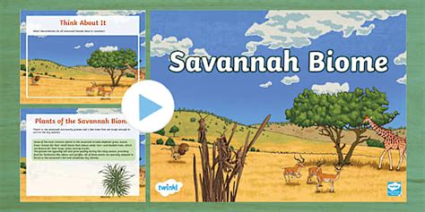 Savannah Biome PowerPoint
