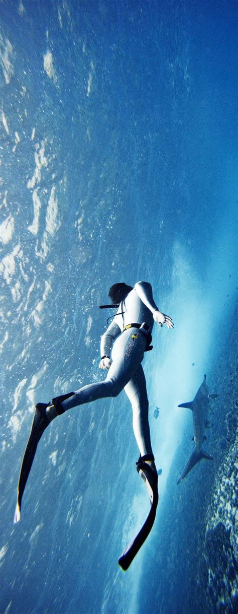 Deep Sea Diving Tutorial 的图像结果