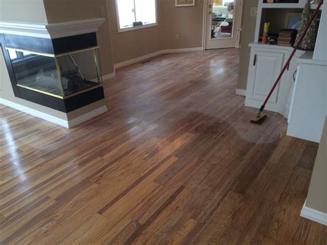 Fort Wayne's Floor Cleaner