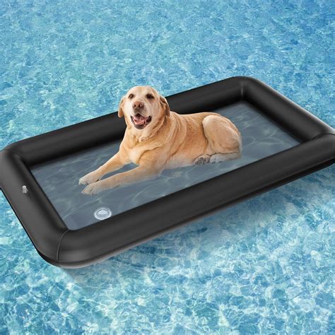 Amazon.com: U0U Dog Float for Pool,Inflatable Dog Raft,Dog Pool Floats ...