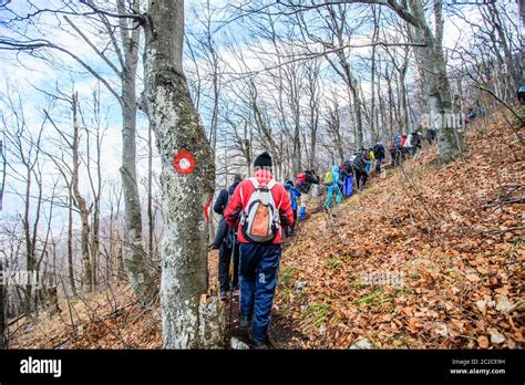 Outdoor Activity 的图像结果