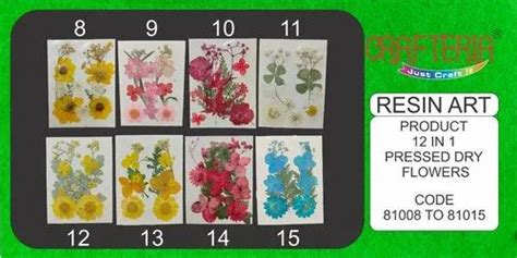 Dried Flowers - 3d Dry Flower (random Colours) Manufacturer from Surat