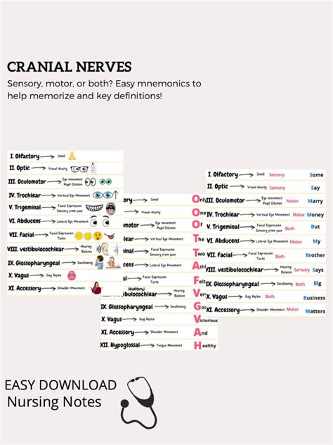 Cranial Nerve Mnemonics