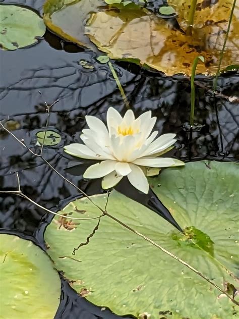 Missisquoi National Wildlife Refuge : r/vermont
