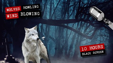 Image result for Wolves Howling Ten Hours
