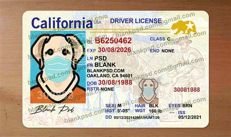 Driver S License Id Template