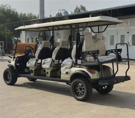 2/4/6 Person 48V/60V/72V Electric Lifted Golf Cart off Road Buggy with ...