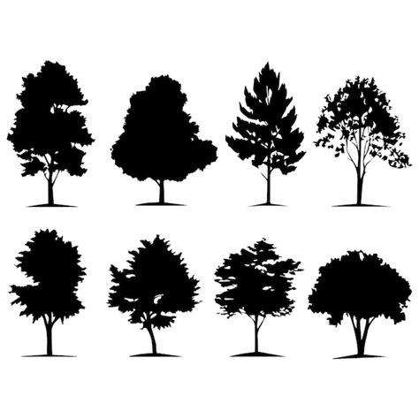 Image result for Visual Identity Justification Example