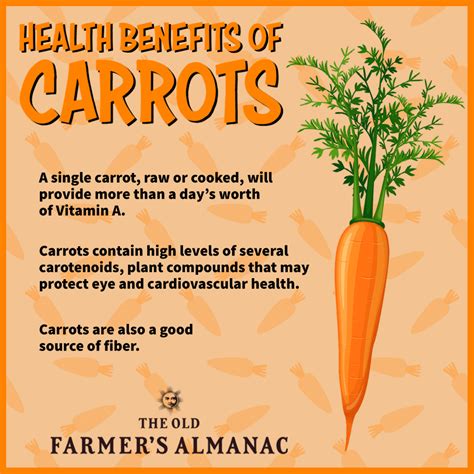 Carrots Benefits For Health at Lucille Bullard blog