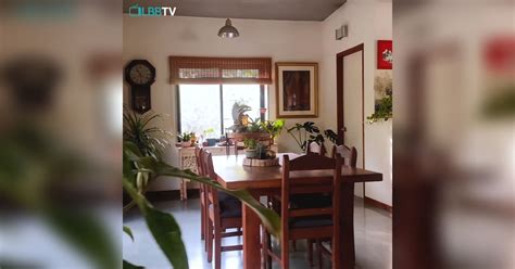 Easy Plantcare Tips By Anuja Cambatta, Dragonfly Farms | LBB