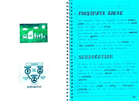 Image result for Project On Insurance Class 11