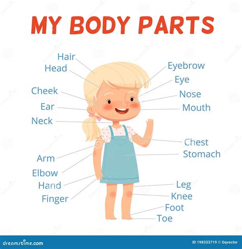 Child Girl Body Parts Stock Illustrations – 310 Child Girl Body Parts Stock Illustrations ...