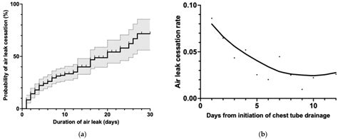 Temporal Patterns of Air Leak Resolution in Secondary Spontaneous ...