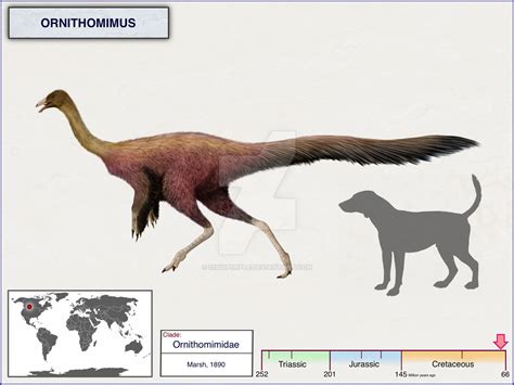 Ornithomimus by cisiopurple on DeviantArt