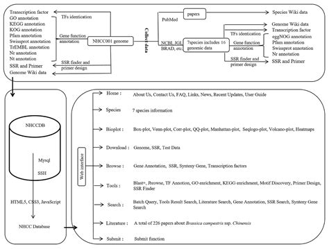 Non-Heading Chinese Cabbage Database: An Open-Access Platform for the ...