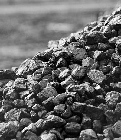 Primon International: Raw Material Traders and Supply Chain Experts ...