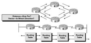 Image result for Dynamic Routing Configuration
