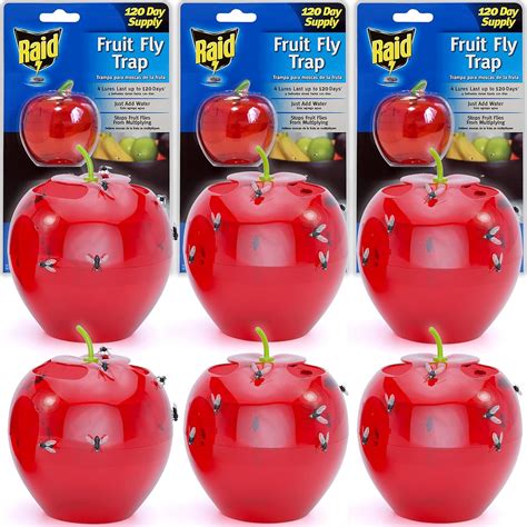 Amazon.com : Raid Fruit Fly Trap Bundle, Set of 3 2-Pack Apple Fruit ...