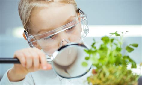 Life Science Tutor 的图像结果