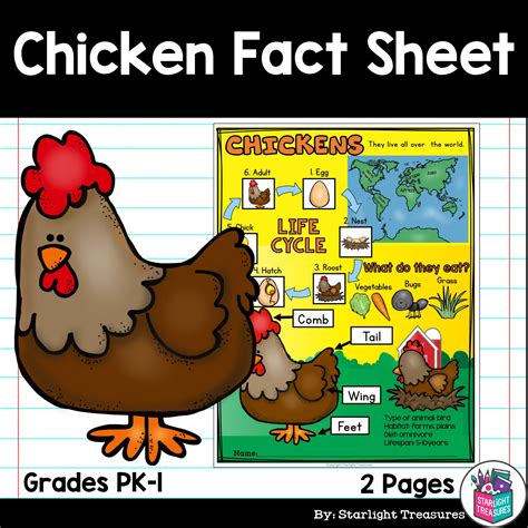 Chickens Fact Sheet for Early Readers - Animal Study | Made By Teachers
