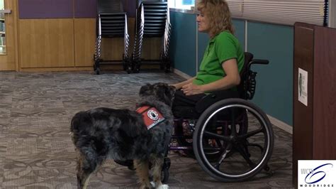 Image result for Missed Java Com