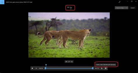 Movie Maker in Windows 11: Native Tools and Their Alternative