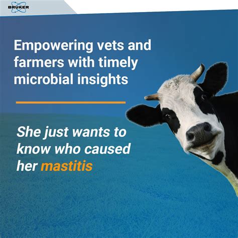 𝗪𝗵𝗮𝘁 𝗺𝗮𝗱𝗲 𝗵𝗲𝗿 𝗰𝗿𝘆? 🐄 We've all been there. Something's wrong, you want ...