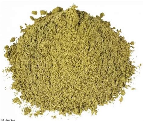 Indian Herbal Extract - Senna Leaves Extract Wholesaler / Distributor ...