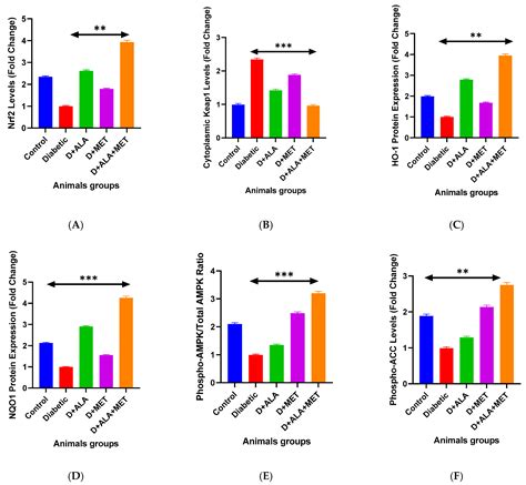 Alpha-Lipoic Acid and Metformin Combination Therapy Synergistically ...