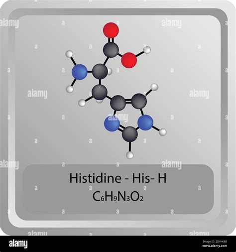 Histidine Amino Acids Structure
